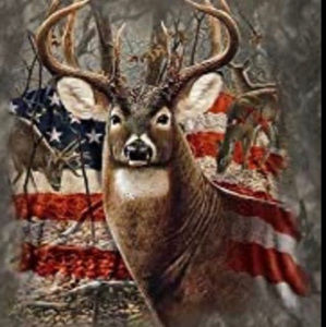 Meet your Posher, Traci